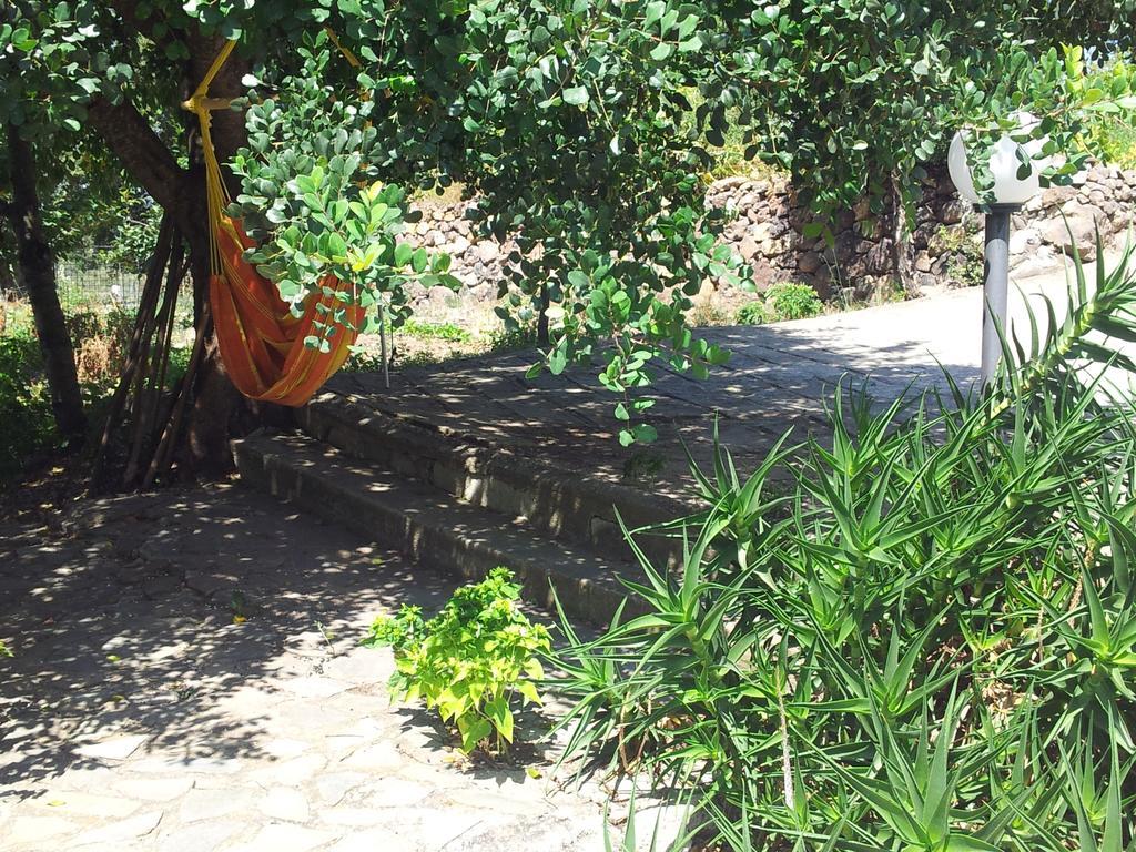 Villa Maria Dorgali Pokój zdjęcie