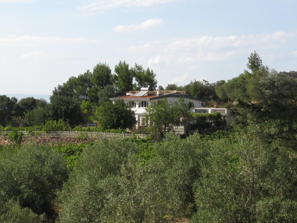 Villa Maria Dorgali Pokój zdjęcie