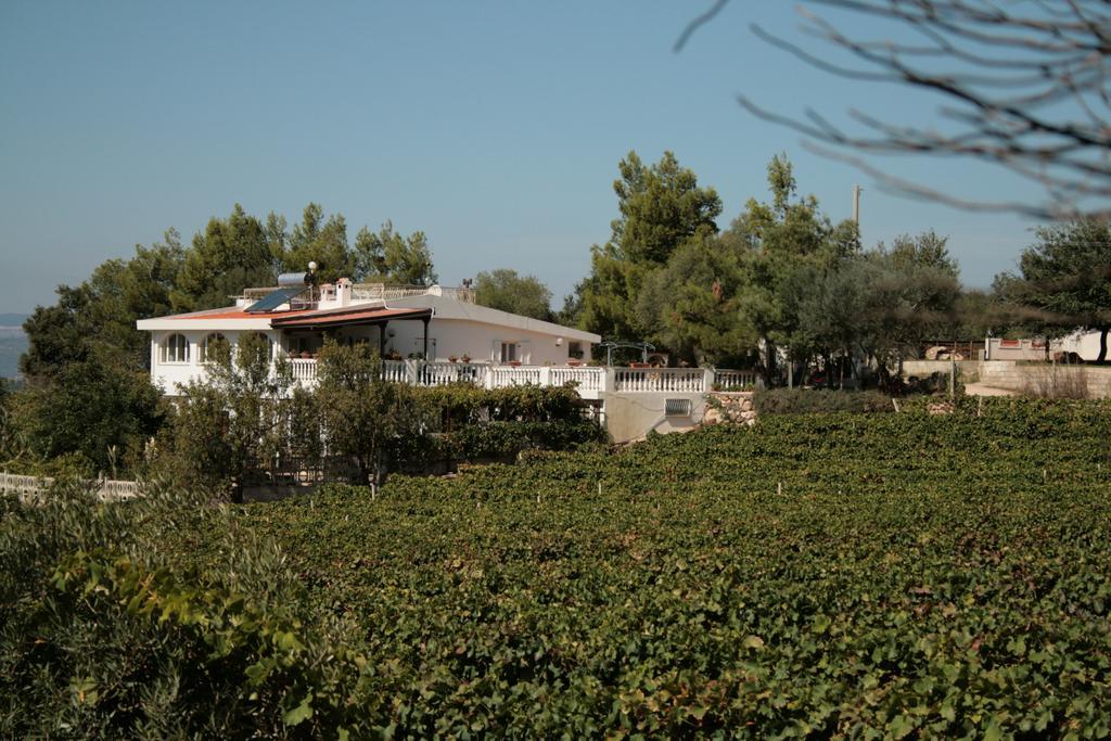 Villa Maria Dorgali Zewnętrze zdjęcie