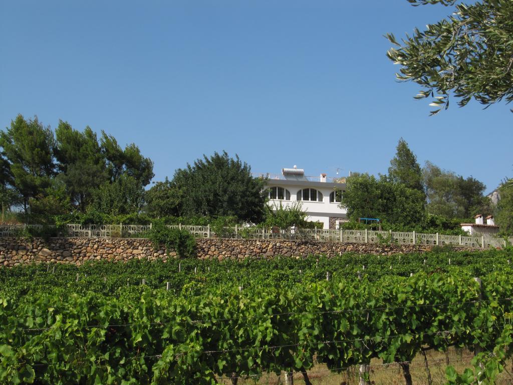 Villa Maria Dorgali Zewnętrze zdjęcie